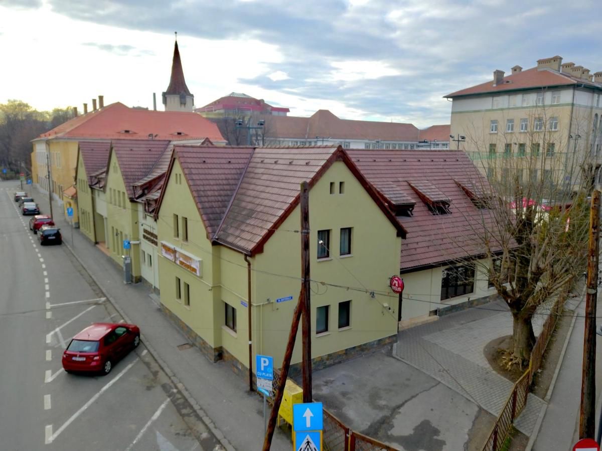 Гостевой дом Pensiunea Luceafărul Sibiu Сибиу-15